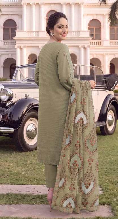 3 Pcs Women's Unstitched Plain Suit